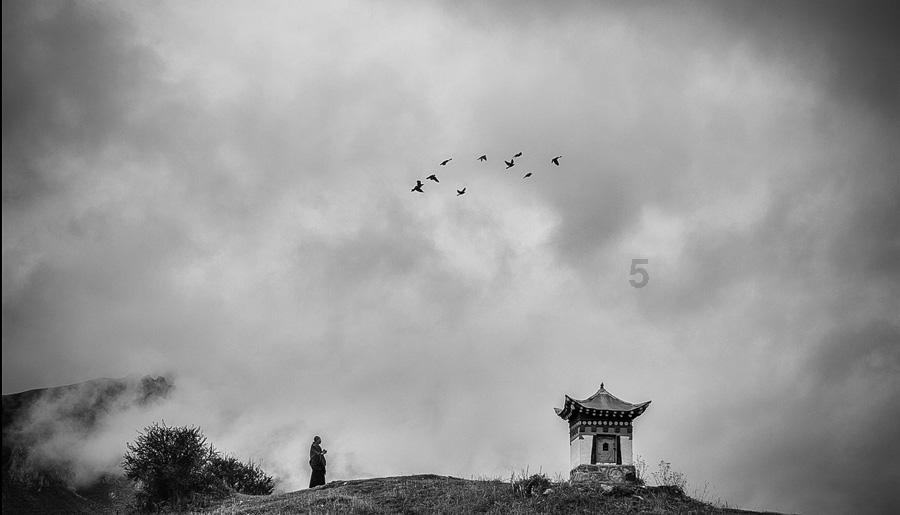 杨紫真的太适合穿西装,千鸟格西装端庄干练,有气质吗?——小而全的有问必答平台