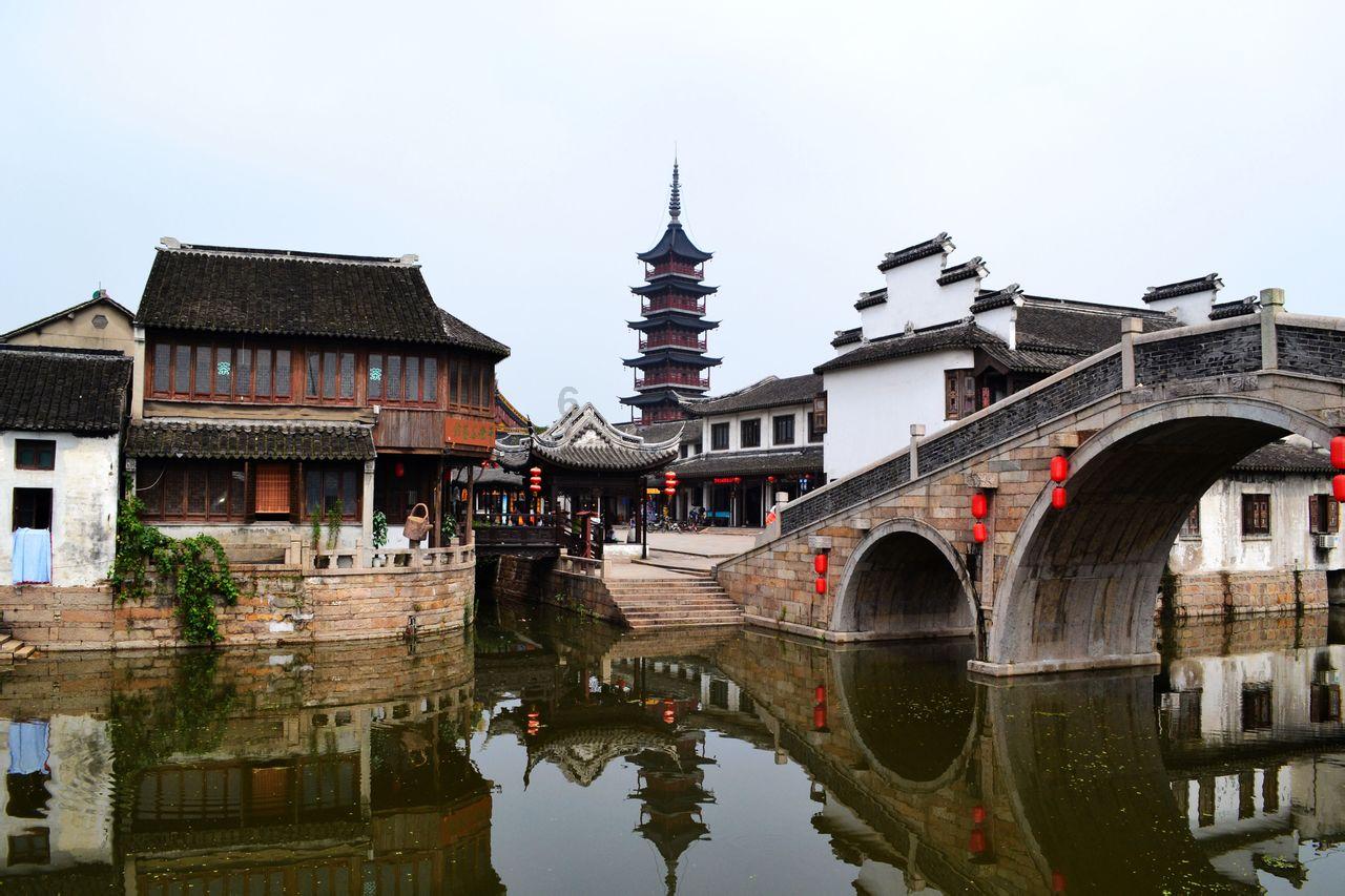 拯救红松鼠