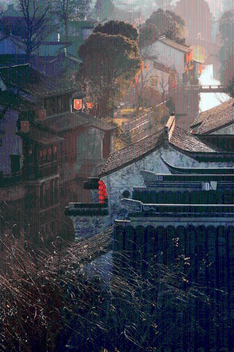 昆明动物园2只猫体检结果公布:最大的问题是心理,将做节育手术